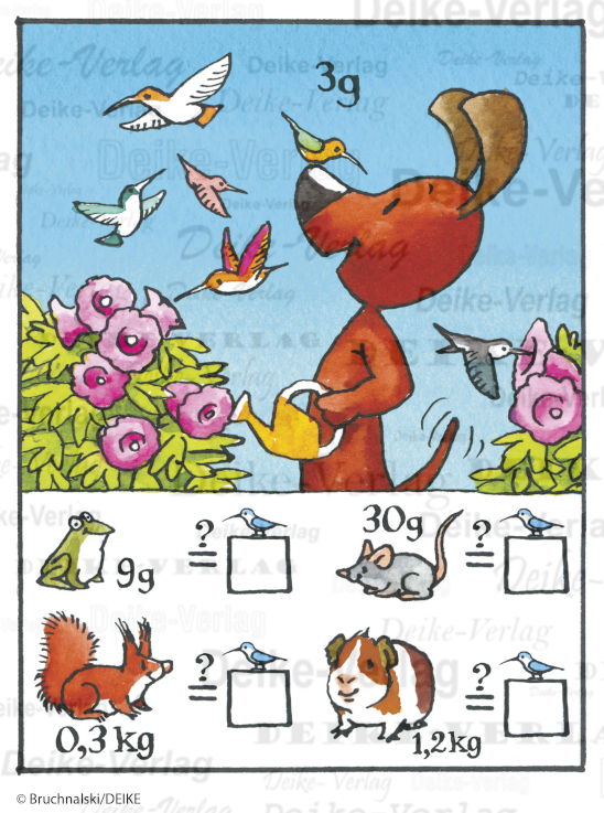 Kolibris – Oscar der schaue Dackel KW 2814