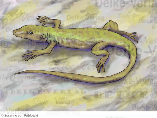 Die Eidechse