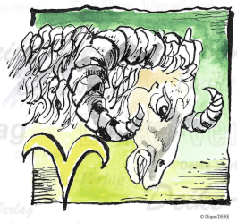 Horoskopzeichen Bibliothek No. 24