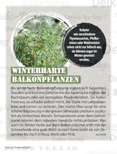 Winterharte Balkonpflanzen