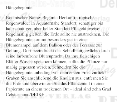 Garten und Pflanzen: Hängebegonie