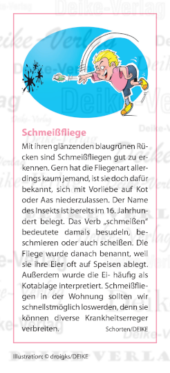 Schmeißfliege