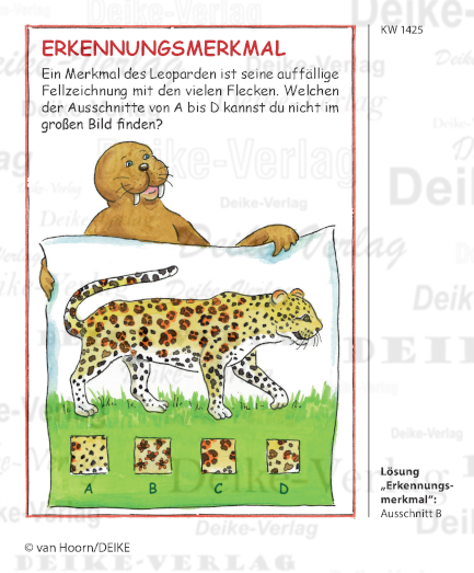 Leopard - Paula das Walross KW 1425