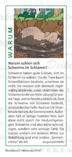 Warum suhlen sich Schweine im Schlamm?