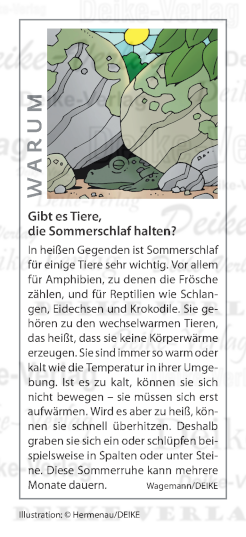Gibt es Tiere, die Sommerschlaf halten?