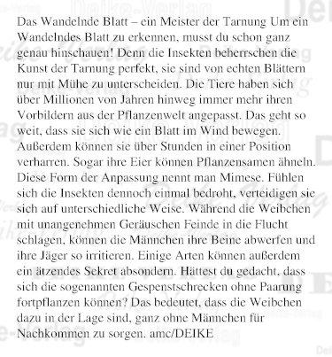 Das Wandelnde Blatt – ein Meister der Tarnung