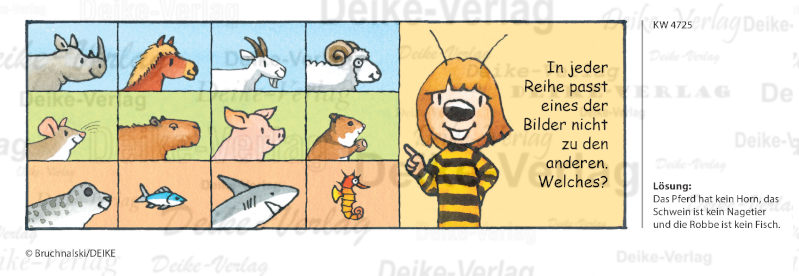 Einer fällt aus der Reihe - Irmi die Rätselbiene KW 4725