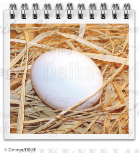 Bastei - Um die Ecke geschaut