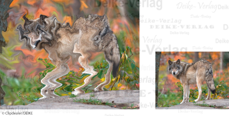 Wolf - Fotorätsel