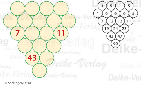Rechentraube 201607