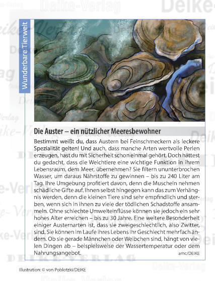 Die Auster – ein nützlicher Meeresbewohner