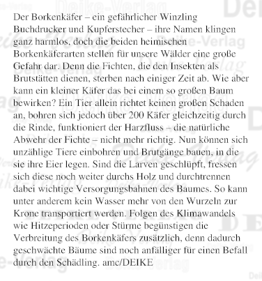 Der Borkenkäfer - ein gefährlicher Winzling