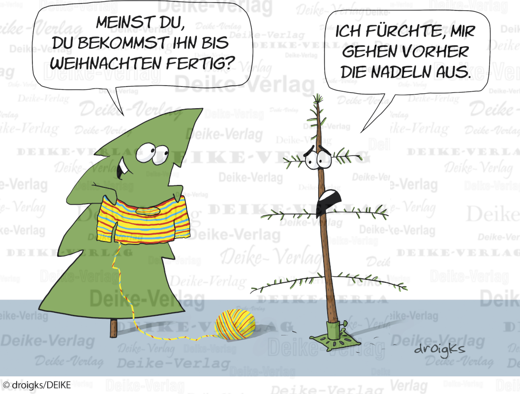 Das Weihnachtskleid