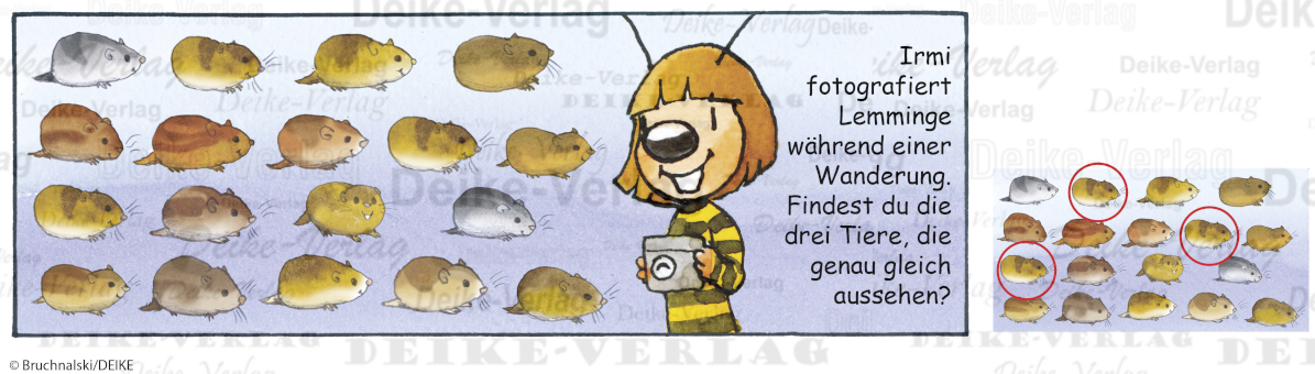 Lemminge - Irmi die Rätselbiene KW 1326