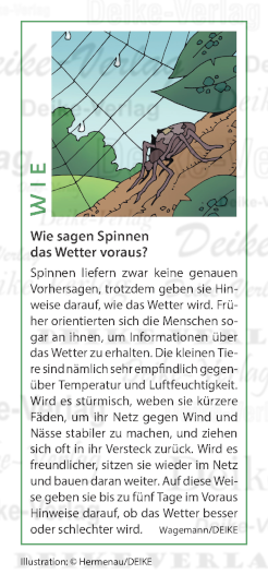 Wie sagen Spinnen das Wetter voraus?