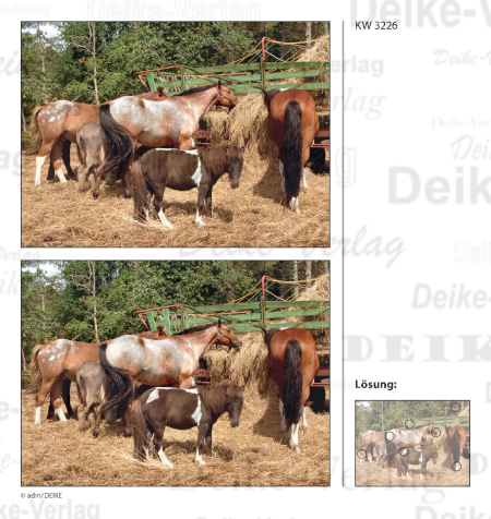 Pferdehof - Fehlerbilder KW 3226