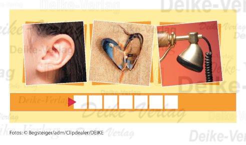 Muschel - Fotorätsel