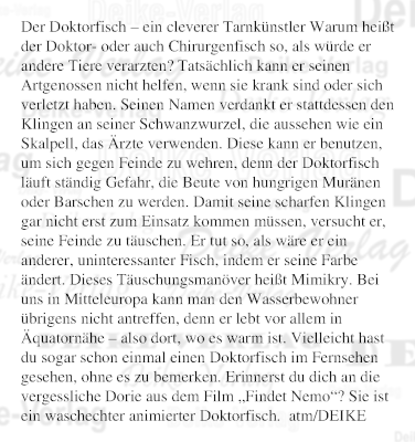 Der Doktorfisch – ein cleverer Tarnkünstler